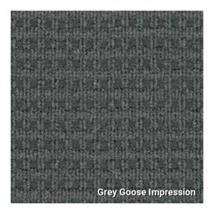 Grey Goose Impression